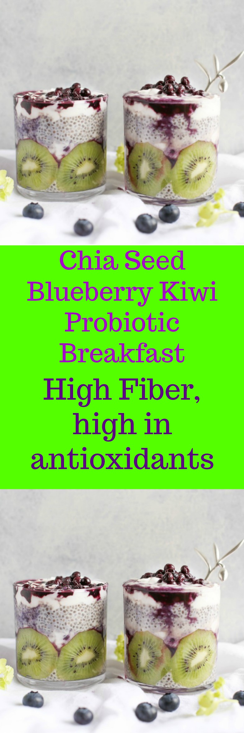 Power up your morning with this Chia Seed Blueberry Kiwi Probiotic Breakfast! Chi seed will fill you up and the probiotic yogurt will keep your digestive tract healthy