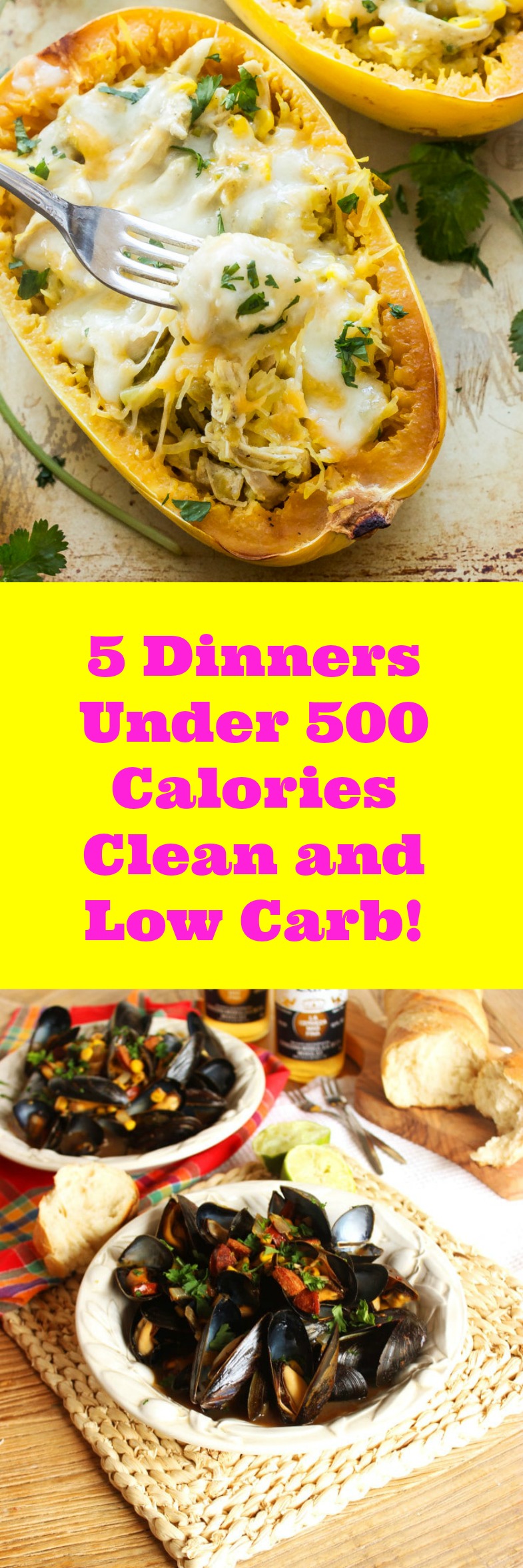 Watching your calorie intake? You will absolutely love these fantastic 5 Healthy Dinners under 500 calories! Now you'll enjoy your dinner with no worries of over eating. Plus surprisingly great taste!