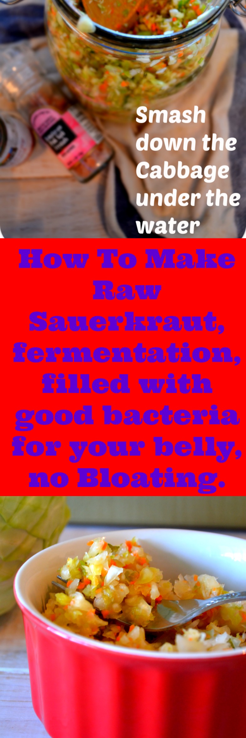 How To Make Raw Sauerkraut, fermentation, filled with good bacteria for your belly, Vitamin C and no Bloating. Fat Free and very Healthy for your belly and weight loss.