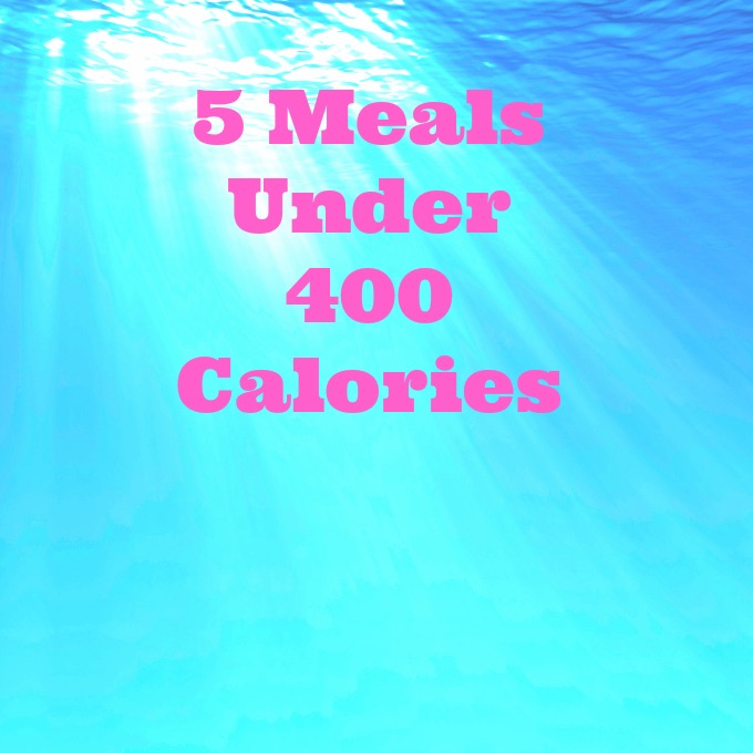 Meals Under 400 Calories