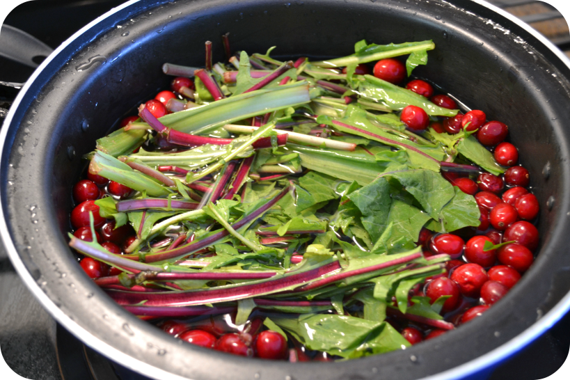 Cranberry and Dandelion Leaves Tea