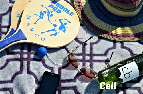 Lowest Priced Unlimited Plans