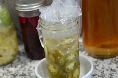 Probiotic Jalapenos