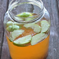 Apple Cinnamon Metabolism Detox Water