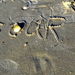 Living on Marco Island