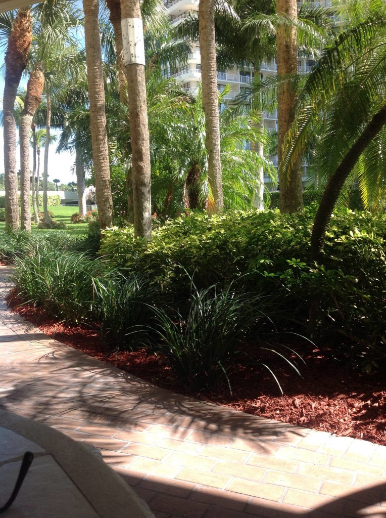 outside office marco island