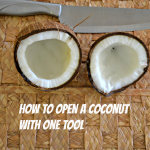 How To Open a Coconut with One Tool
