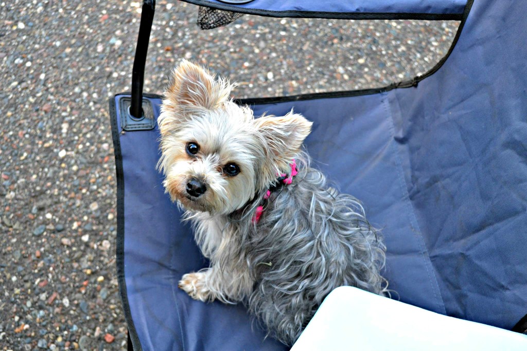 10298562_10152504948140242_3671202388411146529_o