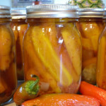 Hot Pickled Carrots