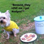 Unconditional Love with Nudges® Wholesome Dog Treats